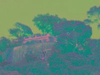 IMGP2681 edited (Medium)